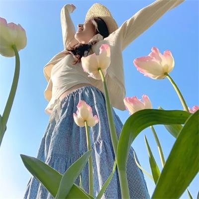 柯明斯基理论第三季